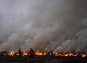 Kebakaran Hebat Melanda Hutan Taman Nasional Giam Siak Kecil di Riau