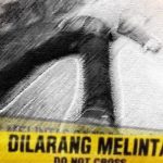 Pemotor Wanita Tewas Usai Tabrak Truk Rusak di Tanjakan Jalintim Pelalawan