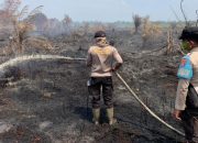 311 Hektar Lahan Terbakar di Indragiri Hulu, Begini Kata Kapolres