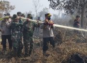 Kebakaran 311 Hektar Lahan di Inhu, Begini Kata Kapolres