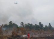 Karhutla Hanguskan 1.073 Hektar Lahan di Riau dalam 7 Bulan