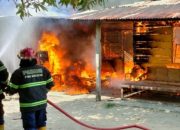 Kobaran Api di Padang Timur: Rumah, Sekolah dan Musala Terbakar