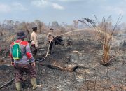 Ratusan Hektare Lahan Terbakar di Inhu, Begini Kondisinya