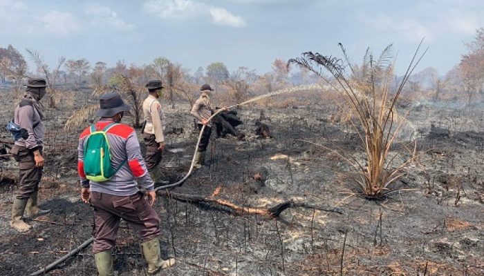 Ratusan Hektare Lahan Terbakar di Inhu, Begini Kondisinya