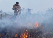 Karhutla di Pelalawan, Polisi Dibantu Warga Padamkan Api
