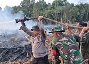 TNI Polri Padamkan 10 Hektare Lahan Terbakar di Siak