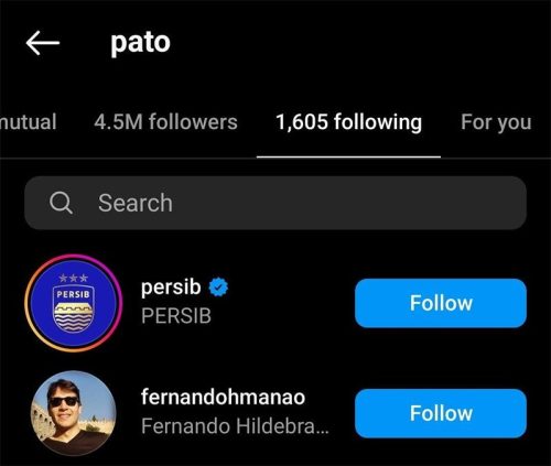 Tangkapan layar following akun instagram Pato pada Kamis (11/7/2024) pukul 14.40 WIB. (ist)