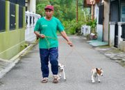 Vaksinasi Rabies Gratis untuk Anjing di Padang Panjang, Segera Bawa Hewan Peliharaan Anda!