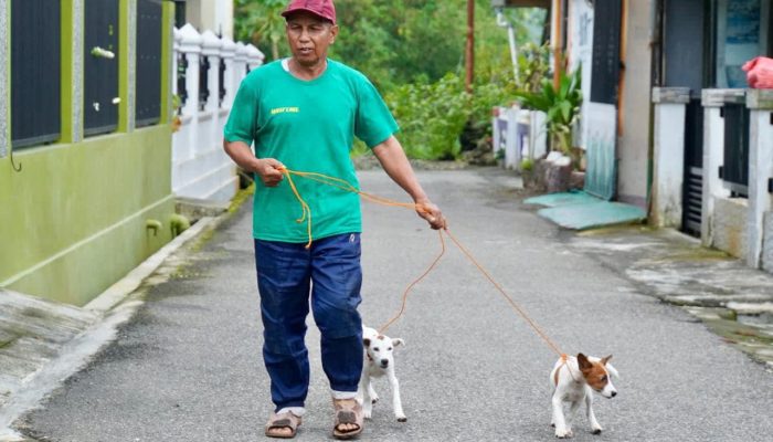 Vaksinasi Rabies Gratis untuk Anjing di Padang Panjang, Segera Bawa Hewan Peliharaan Anda!