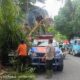 Tim Reaksi Cepat BPBD Kota Padang melakukan evakuasi pohon tumbang yang menimpa satu unit mobil, Senin (19/8) siang. (ist)