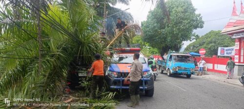 Tim Reaksi Cepat BPBD Kota Padang melakukan evakuasi pohon tumbang yang menimpa satu unit mobil, Senin (19/8) siang. (ist)