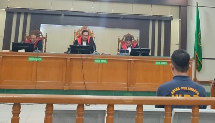 Terbukti KDRT, Polisi Pekanbaru Divonis 1,4 Tahun Penjara