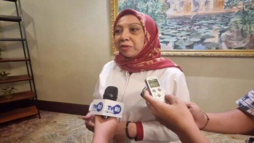 Deputi Bidang Perlindungan Hak Perempuan Kementerian Pemberdayaan Perempuan dan Perlindungan Anak Ratna Susianawati.