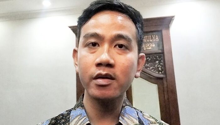 Dugaan Akun Kaskus Gibran Rakabuming Raka, Istana Tanggapi Isu yang Heboh di Medsos