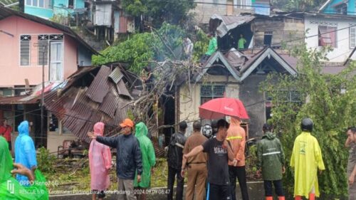 Petugas BPBD membersihkan material pohon yang menimpa rumah warga, akibat hujan lebat disertai angin kencang sepanjang Senin (9/9). ist