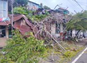 Pohon Tumbang Timpa Rumah di Padang Selatan, Satu Warga Terluka