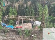 Operasi PETI di Pasaman Barat, Polisi Musnahkan Pondok Penambang Emas Ilegal