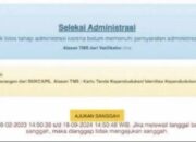 Jadwal Pengumuman Hasil Administrasi CPNS 2024 dan Cara Ceknya