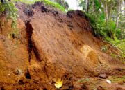 Longsor Tambang di Kabupaten Solok, 15 Ditemukan Tewas, 25 Orang Masih Tertimbun