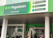 INFO LOKER 2024, Pegadaian Buka Lowongan Kerja, Formasi Wealth Manager Senior dan Relationship Manager Senior