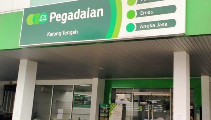INFO LOKER 2024, Pegadaian Buka Lowongan Kerja, Formasi Wealth Manager Senior dan Relationship Manager Senior