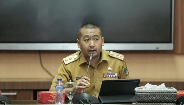 Audy Joinaldy: Empat Warga Sumbar Sudah Dipulangkan dari Lebanon