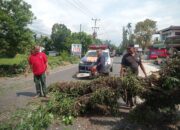 Mahasiswi UIN Imam Bonjol Padang Tertimpa Pohon Tumbang di Jalan Tanjung Aur