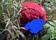 Mayat Pria Ditemukan di Jurang Sitinjau Lauik, Padang, Kondisi Membusuk Dibungkus Kain Merah