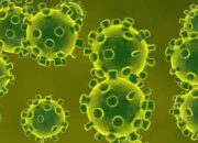Waspada Mpox, Virus Baru yang Lebih Mematikan Mulai Menyebar di Asia