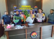 Selain Jual Sabu, Petani Tanam Ganja di Ladang, Terbongkar usai 2 Pengedar Ditangkap