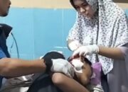 Panji Diserang Harimau Saat Memancing di Siak, Alami 89 Jahitan