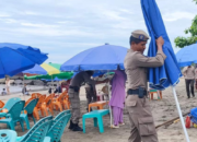 Penertiban PKL di Pantai Padang, Pedagang Lempar Kelapa Muda ke Satpol PP
