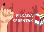 Real Count Pilkada Sumbar, 10 Petahana Tumbang
