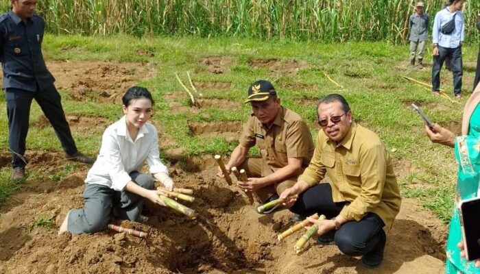 Kerjasama dengan Koperasi Kana Jatim, Pjs Bupati Agam Menginisiasi Pendirian Pabrik Gula Tebu di Matur