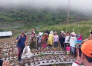Potensi Wisata dan Pertanian Puncak Sarah, Mahyeldi: Jangan Jual Tanah ke Pihak Asing
