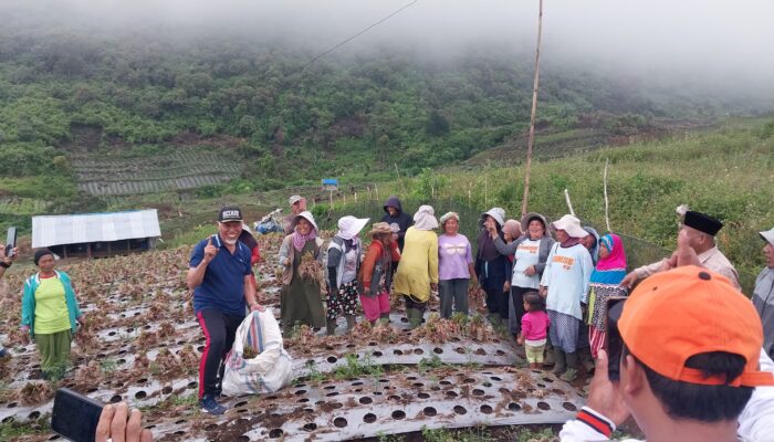 Potensi Wisata dan Pertanian Puncak Sarah, Mahyeldi: Jangan Jual Tanah ke Pihak Asing
