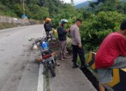 Diduga Rem Blong, Truk Batu Bara Terjun ke Jurang 10 Meter di Padang