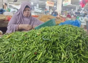 Harga Cabai Hijau dan Bawang Merah di Padang Panjang Alami Penurunan Signifikan