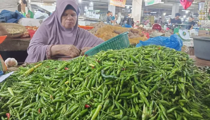 Harga Cabai Hijau dan Bawang Merah di Padang Panjang Alami Penurunan Signifikan