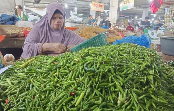 Pedagang cabe hijau. (Foto: Istimewa)