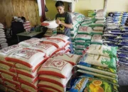 Awal Desember, Harga Cabai Rawit Merah dan Beras Turun