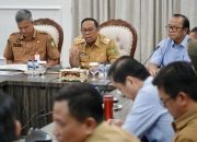 Dari Lahan Tidur ke Lumbung Pangan, Riau Pacu Swasembada Padi Nasional