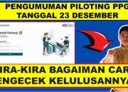 Hasil UKPPPG Piloting Tahap 3 2024 Sudah Keluar, Begini Cara Mengeceknya