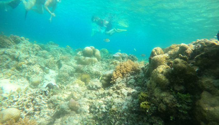 Bingung Liburan Akhir Tahun? Ini Rekomendasi Tempat Terbaik untuk Keluarga, Teman, dan Pasangan