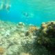 Gili Trawangan Lombok (Foto: Istimewa)