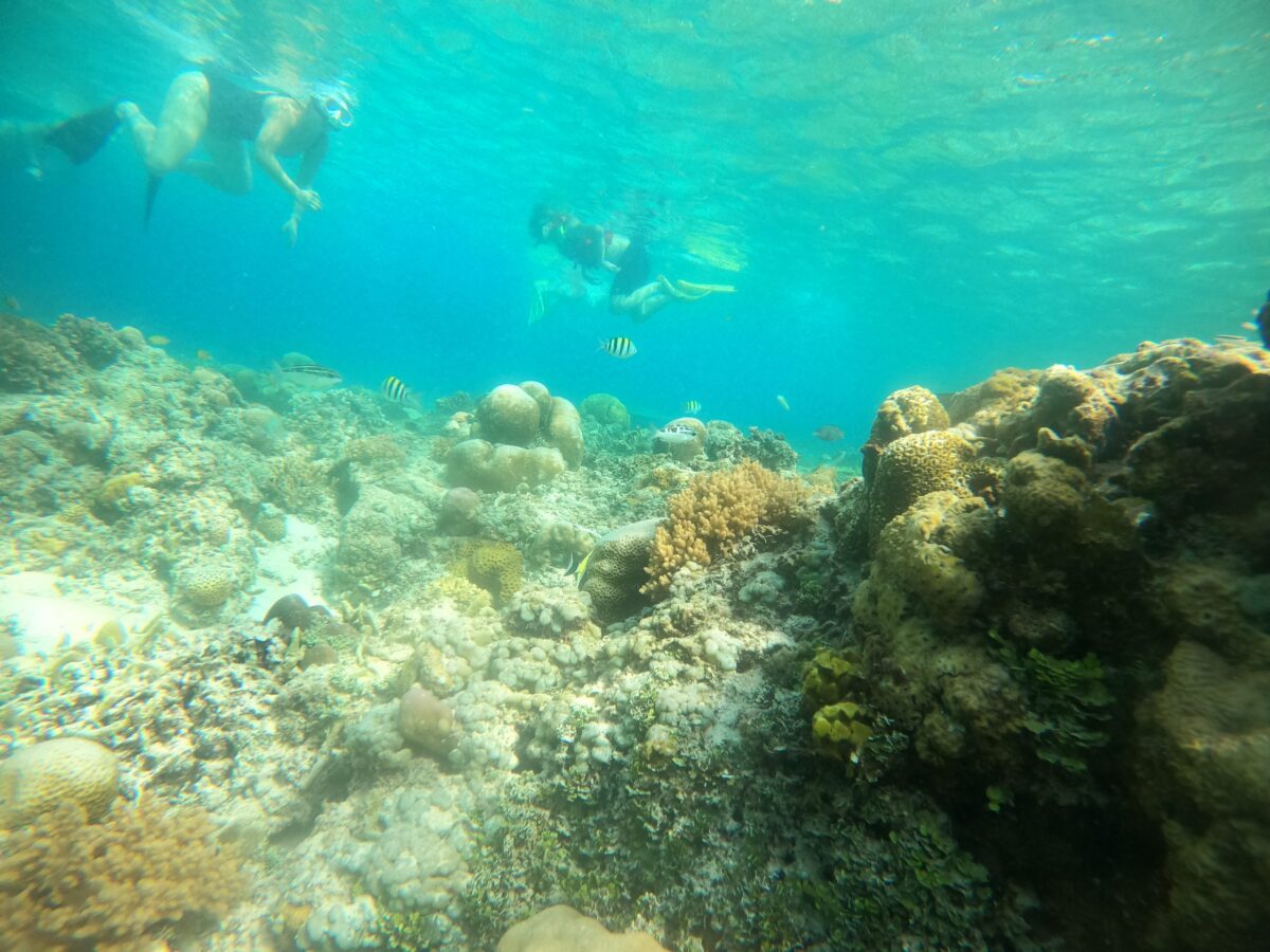 Gili Trawangan Lombok (Foto: Istimewa)