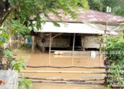 Delapan Nagari di Pesisir Selatan Terendam Banjir, Ribuan Rumah Terdampak