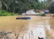 Banjir Terjang Dua Desa dan Satu Kelurahan di Kabupaten Indragiri Hilir, Riau