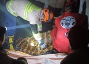 Dua Rumah Kontrakan di Tenayan Raya Hangus, Satu Penghuni Tewas