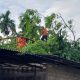 Proses evakuasi pohon tumbang yang menimpa rumah warga di Pauh, Kota Padang. (Foto: Istimewa)